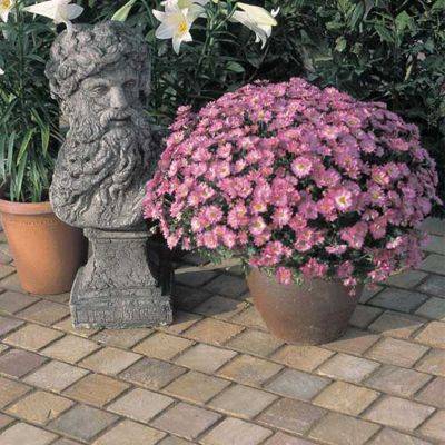 Hand Cut Fieldmoor Sandstone Cobbles & Setts