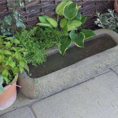Tudor Trough