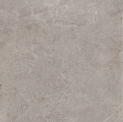 Live Stone Porcelain Paving 900x600
